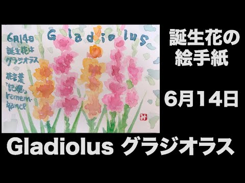 誕生花の絵手紙 6月14日 Gladiolus グラジオラス Youtube