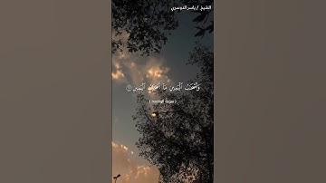سورة الواقعة من آية 24 إلى آية 34 بصوت الشيخ ياسر الدوسري♥♥