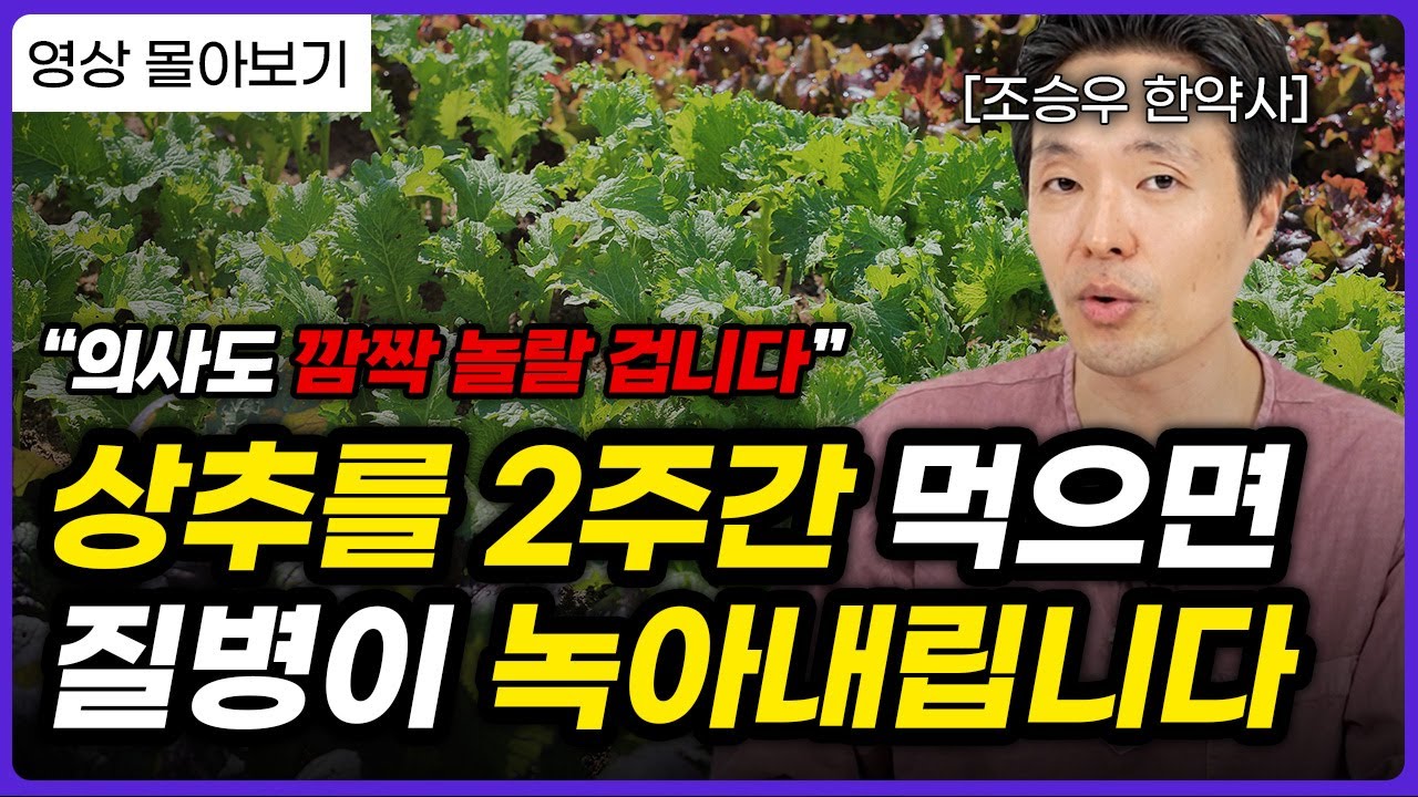 🥬상추를 매일 먹었더니 몸 안의 '이것'들이 싹 사라졌습니다!ㅣ조승우 한약사 몰아보기