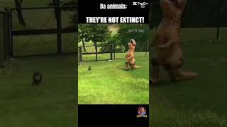 Talking animals!!!!💕