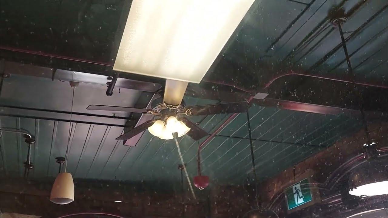 52" Hunter Westminster & Studio Series Ceiling Fans YouTube