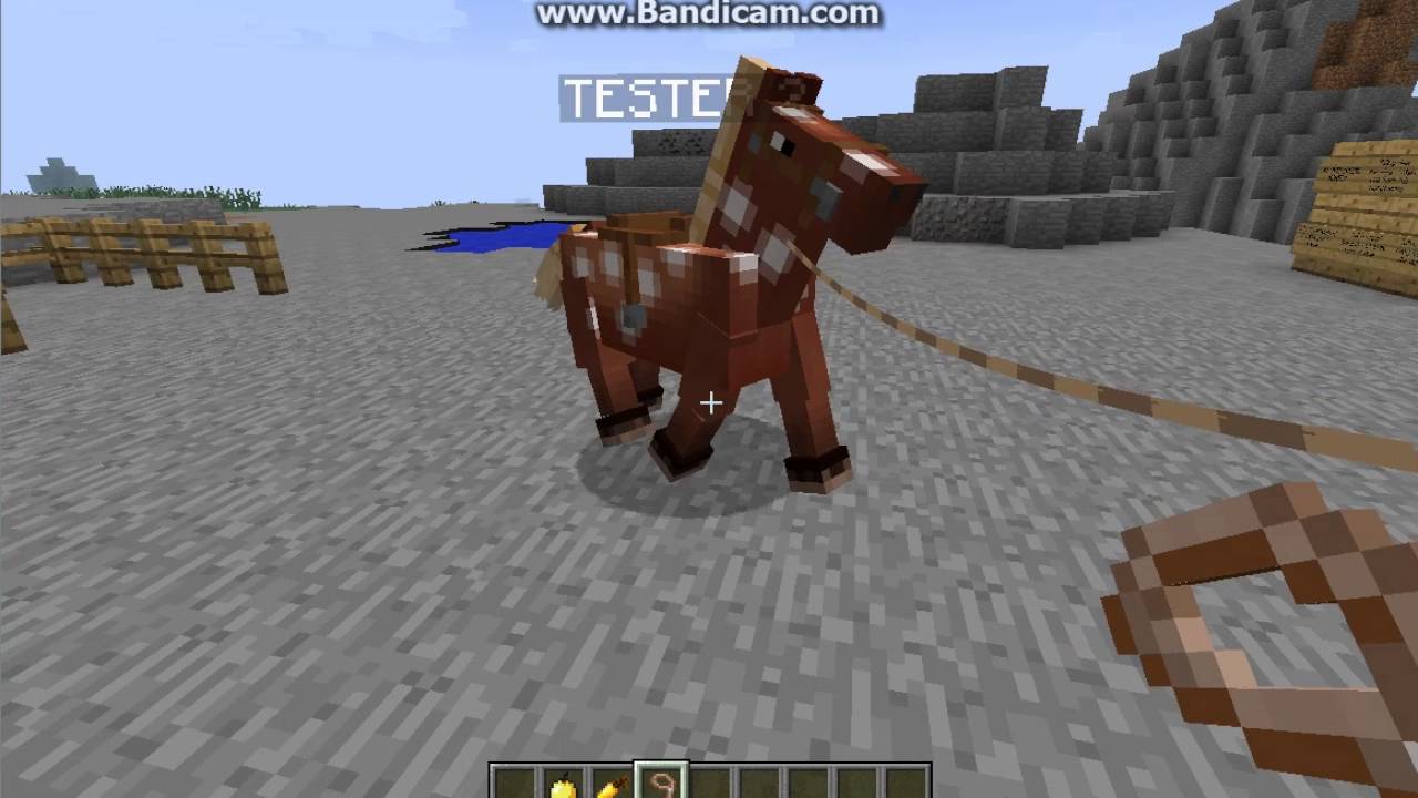 Jak Zrobić Siodło Dla Konia W Minecraft Jak rozmnażać konie w Minecraft? - YouTube