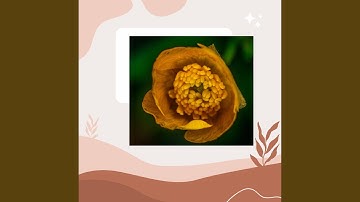 Sublime Backdrops for Healing Treatments