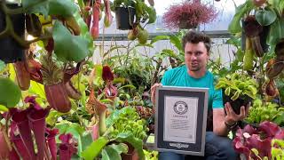 How To: The Guinness World Record Venus FlyTrap￼!