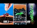 Growing cherry tree from seed time lapse 140 days