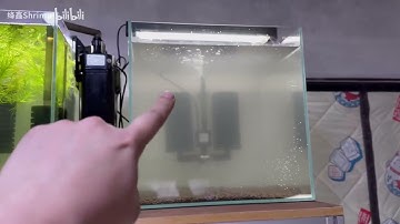 ADA Amazonia Gold Label Setup – Episode 2: Substrate, Water Fill & Cycling Tips