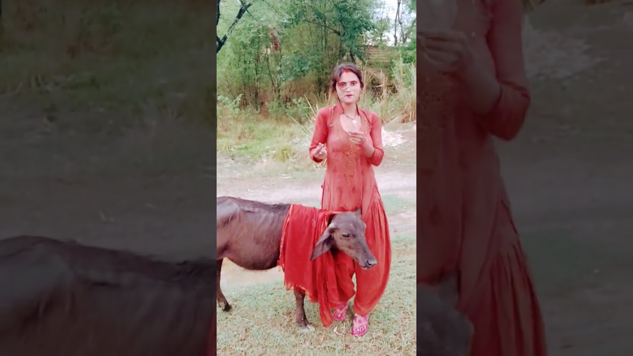 sitarganj mortality# RD Rekha# shot# video 