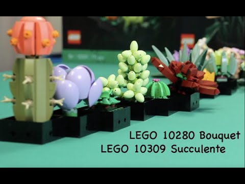 LEGO Botanical 10280 Mazzo di fiori 10309 Piante grasse 