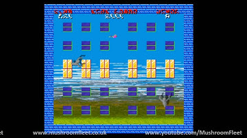 ROM check FAIL - First Play