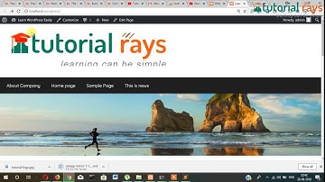 9 WordPress How to create a new Widget- Tutorial Rays | By Umar Rahman