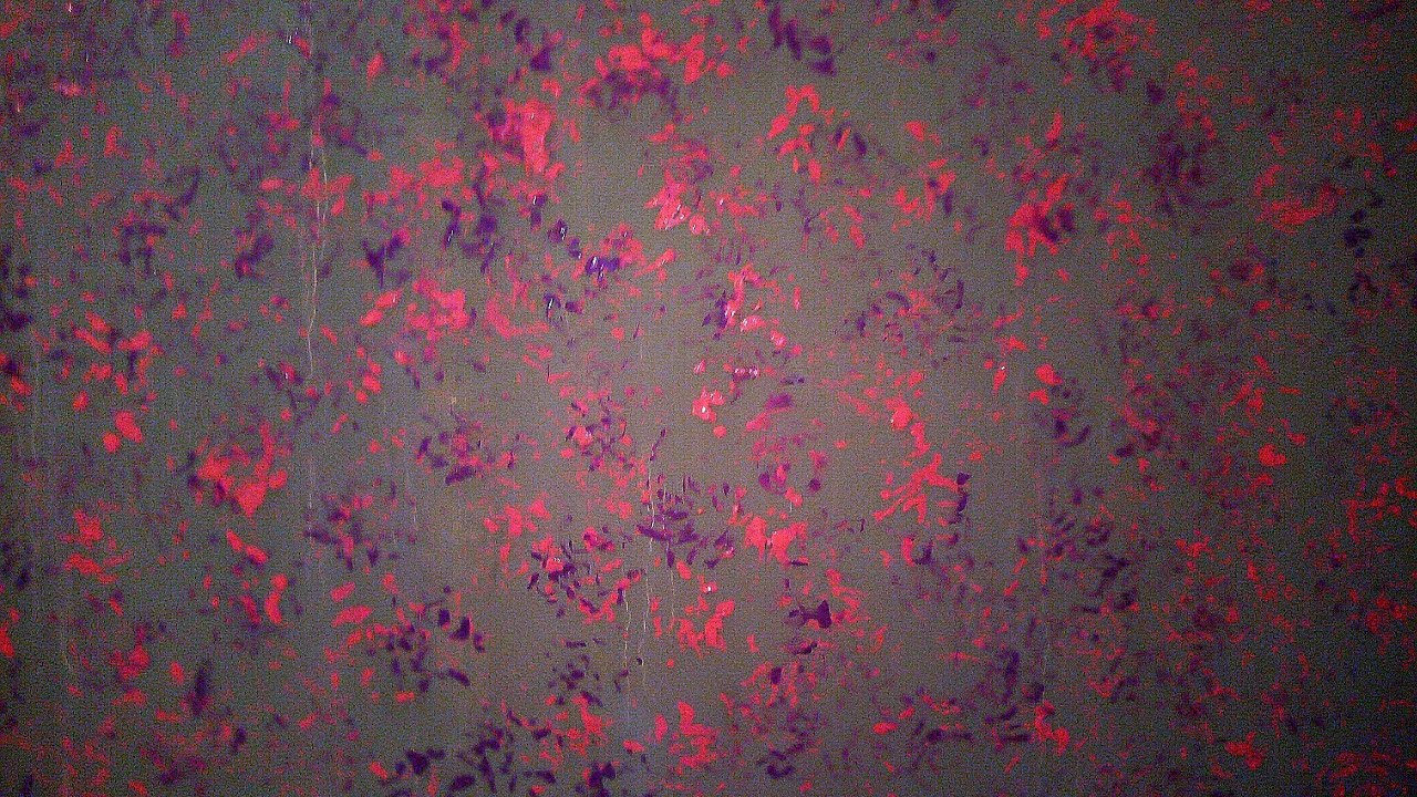 اصنع بنفسك ديكور في بيتك YouTube