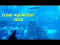 Dubai Aquarium 2023 -  Dubai Mall Akvaryum.