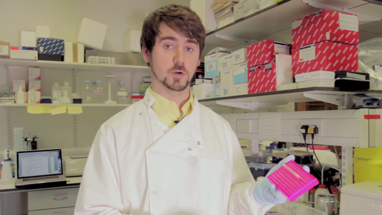 QMUL Science Alive: DNA sequencing of cancer gene mutations