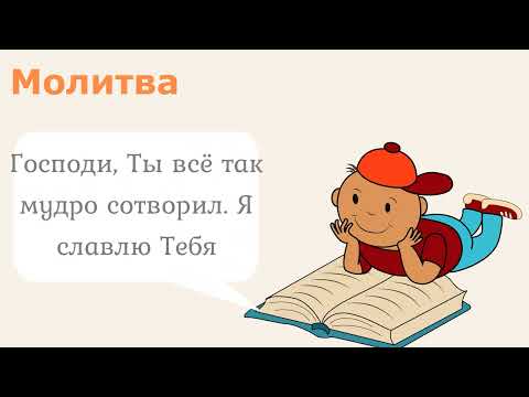 2 июня / Почему грибы лисичками назвали?