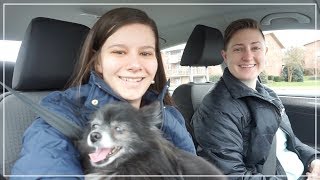 Happy Easter/April Fool's! • Apr. 1, 2018