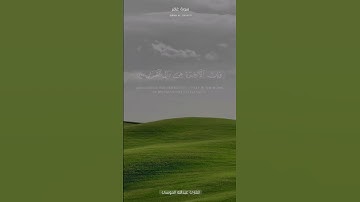 سورة غافر اية 38-40 القارى محمد الموسى