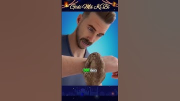 Bị Rắn Cắn: Điều Gì Xảy Ra Khi Nọc Độc Xâm Nhập Cơ Thể? #RùngRợn #Shorts #Trending