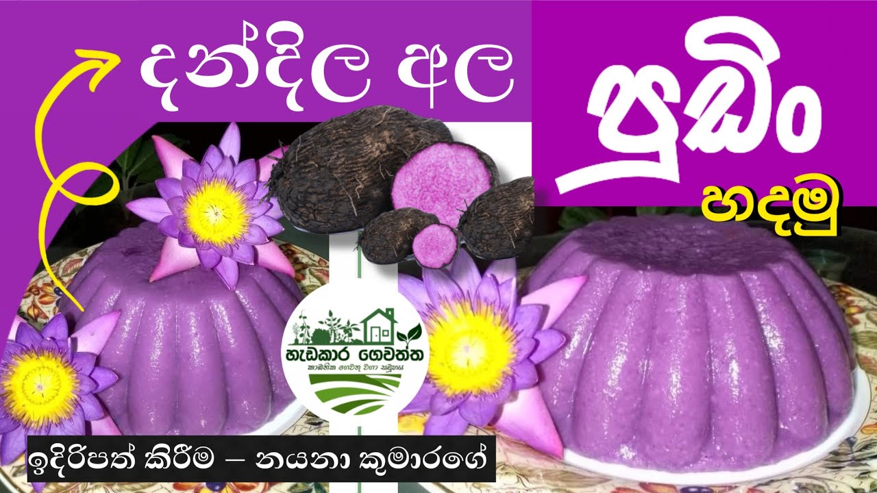 💜 දන්දිල අල වලින් පුඩිං හදමු | How to make dandila ala pudding 🍮| Purple Yam Pudding 🍮