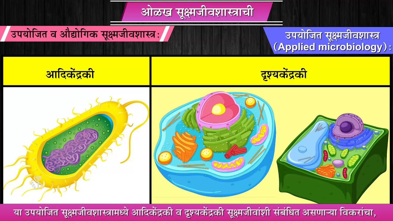 10th Science 2 Chapter07 Topic01 प्रस्तावना Marathi Medium