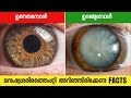 Amazing facts of human body  malayalam