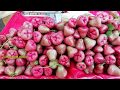 Village Fruit Markets 2018 - Wax Apple *Syzygium Samarangense* - Raw Cashew Fruit - toddy palm Fruit