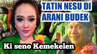 Tatin nesu di arani budek nyang dalang seno lucu banget