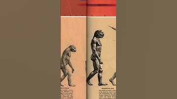 The Missing Link in Evolution #mystery