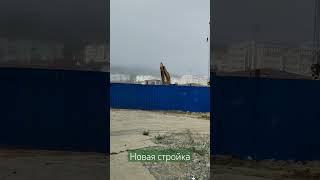 п.Врангель(приморский край)