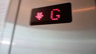 Schindler Pardex Elevator In Beirut Complex 
