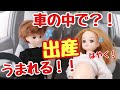 【実話】車の中で?! リカちゃん 赤ちゃん　