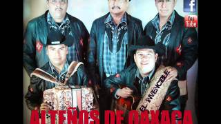 Video thumbnail of "Soñándote - Millon Norteño"