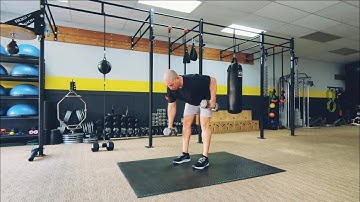 Alternating Bent Over DB Rows top down (demo)