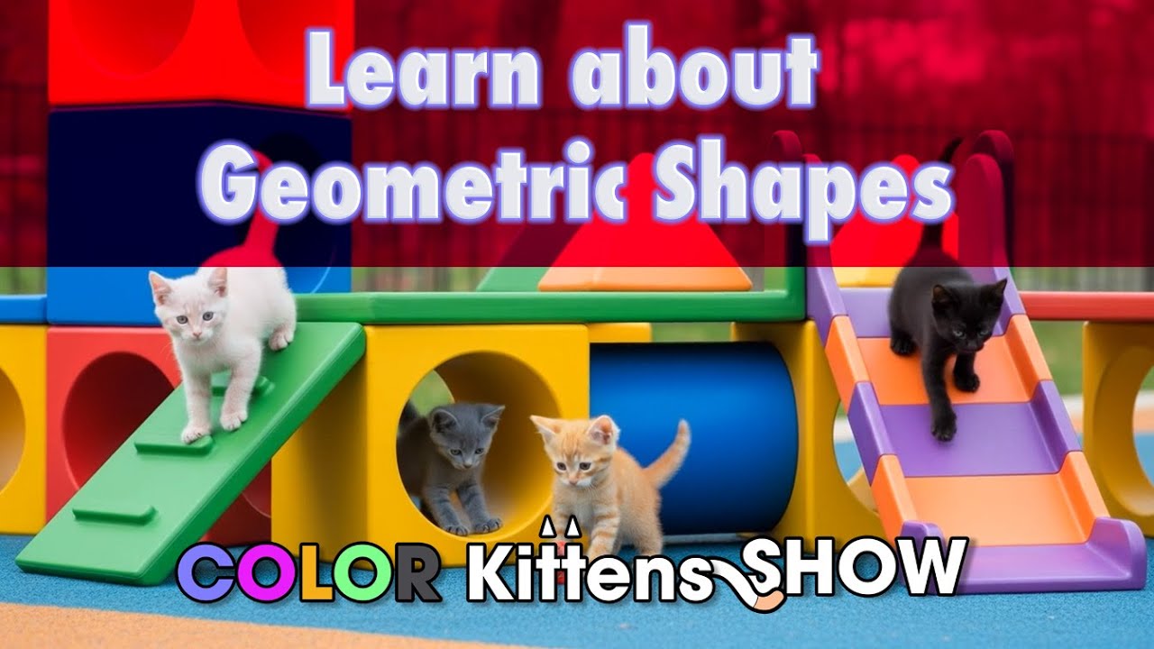 Разноцветные котята учат геометрическим фигурам | Веселое обучение для детей!