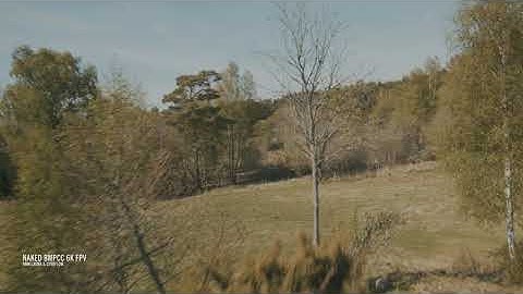 NATURES FIRST BLOOM FPV // Naked BMPCC 6K with LAOWA 9mm + GYROFLOW