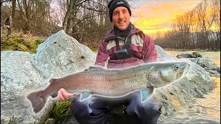 CATCH OF A LIFETIME: ONE THOUSAND CASTS FISH! Big Danubian Salmon (Hucho hucho)! Fishing in Slovenia