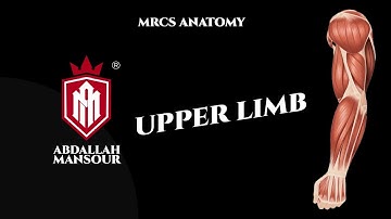 MRCS part B| Upper limb anatomy revision part 1