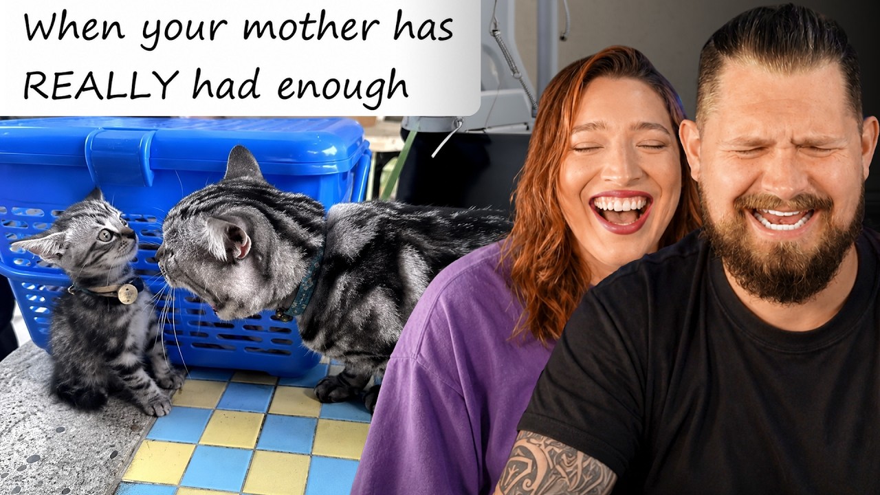 My Wife Finally Broke Me