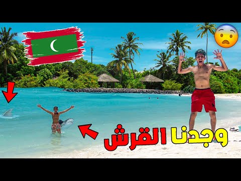 يوم كامل في بحر الحب المالديف شوفوا شحال ديال العشاق