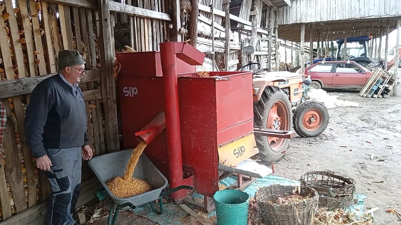 Kukoricamorzsolás talicskába | Zetor 2511 | SIP KROKAR 31 |