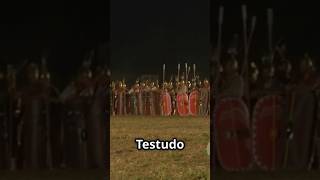 Testudo Formation Explained