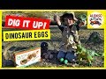 Dig it Up Dinosaur Eggs for kids