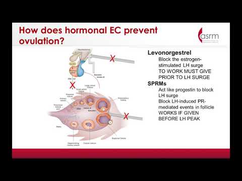 The Latest On Ulipristal Acetate, The Swiss Army Knife of Hormonal Treatment