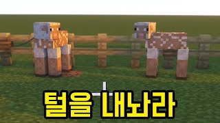 이 양들이 항상 털이 없는 이유(마인크래프트)