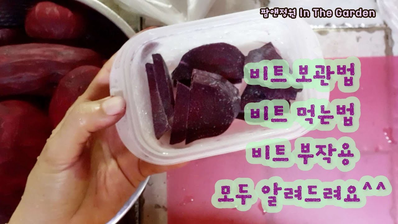 비트 보관 방법/비트 먹는법/ABC주스/비트 효능/비트 부작용까지! /How to store beets / How to eat