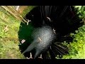 Group cliff dive into the ik kil cenote