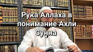 8-й урок по книге "Основы веры ". Рука Аллаха в понимание Ахли Сунна.  Александр абу Хамза.