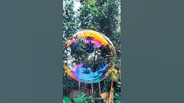 The Surprising Science Behind Why Bubbles Are Always Round!  #facts #trendingshorts #science