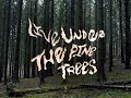 Tender Youth - Live Under The Pine Trees