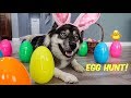 Kakoa's First Easter Egg Hunt!