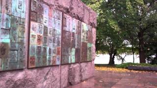 Dork Pixie Goes To Washington